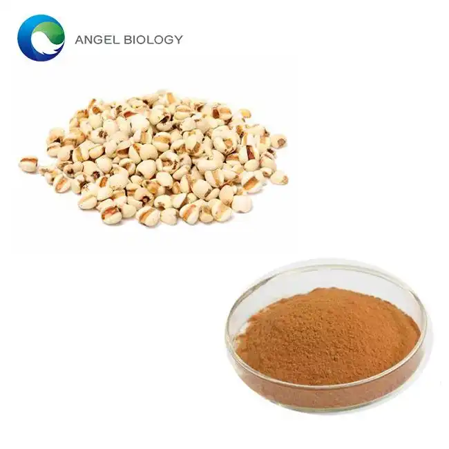 Coix Seed Extract Powder